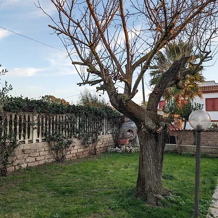 La Del Gelso Bianco Aprilia