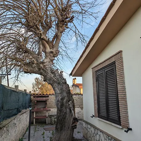 La Del Gelso Bianco Casa vacanze *